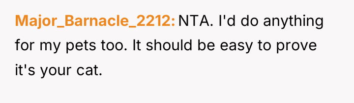 Major_Barnacle_2212 NTA. I'd do anything for my pets too. It...
