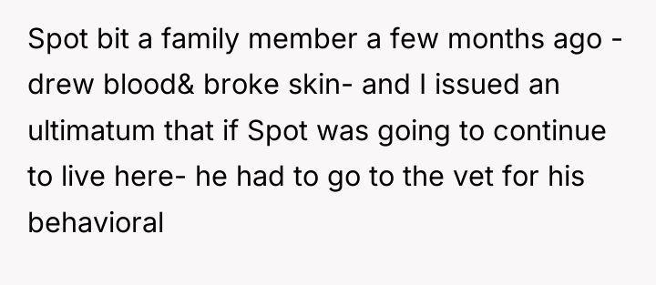 Spot bit a family member a few months ago -...