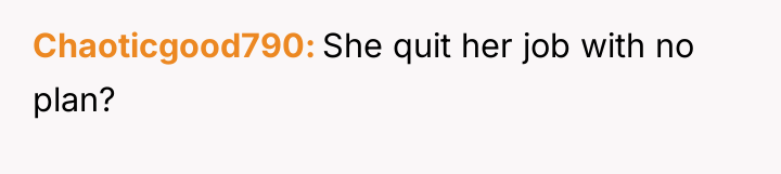 Chaoticgood790 She quit her job with no plan?