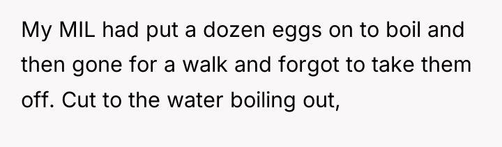 My MIL had put a dozen eggs on to boil...