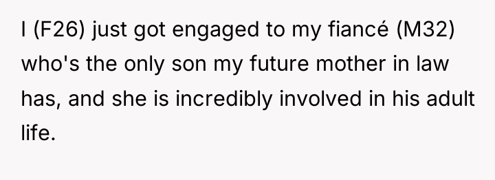 I (F26) just got engaged to my fiancé (M32) who's...