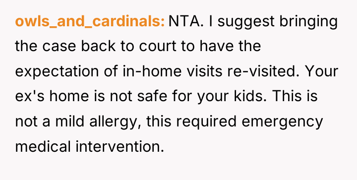 owls_and_cardinals NTA. I suggest bringing the case back to court...
