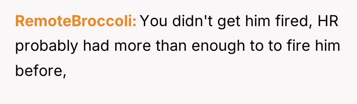RemoteBroccoli You didn't get him fired, HR probably had more...