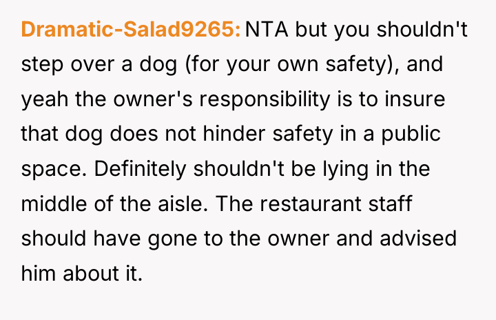 Dramatic-Salad9265 NTA but you shouldn't step over a dog (for...