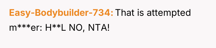 Easy-Bodybuilder-734 That is attempted m***er: H**L NO, NTA!