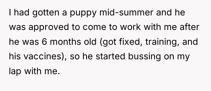 I had gotten a puppy mid-summer and he was approved...