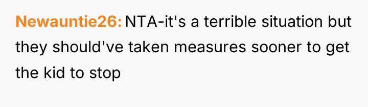 Newauntie26 NTA-it's a terrible situation but they should've taken measures...