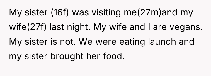 My sister (16f) was visiting me(27m)and my wife(27f) last night....