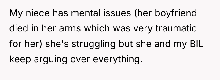 My niece has mental issues (her boyfriend died in her...
