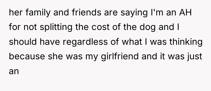 her family and friends are saying I'm an AH for...