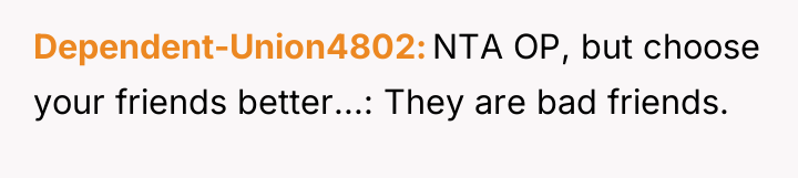 Dependent-Union4802 NTA OP, but choose your friends better...: They are...