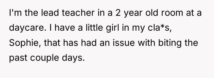 I'm the lead teacher in a 2 year old room...