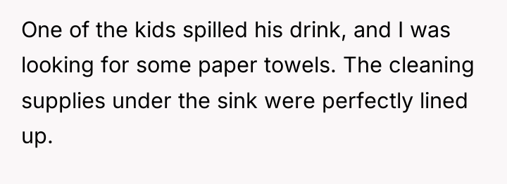One of the kids spilled his drink, and I was...