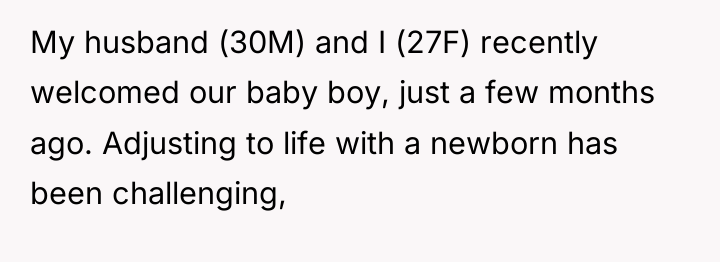 My husband (30M) and I (27F) recently welcomed our baby...