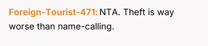 Foreign-Tourist-471 NTA. Theft is way worse than name-calling.