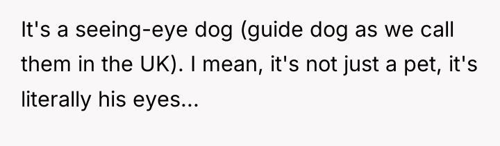 It's a seeing-eye dog (guide dog as we call them...