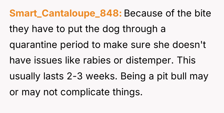 Smart_Cantaloupe_848 Because of the bite they have to put the...
