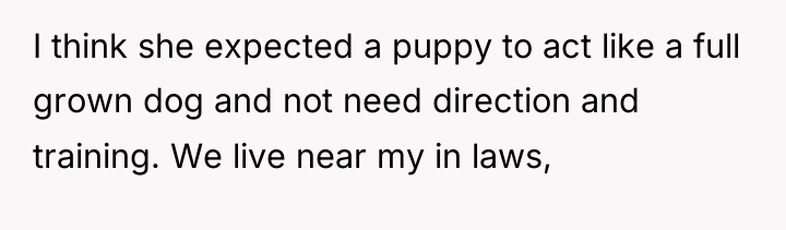 I think she expected a puppy to act like a...
