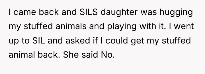 I came back and SILS daughter was hugging my stuffed...