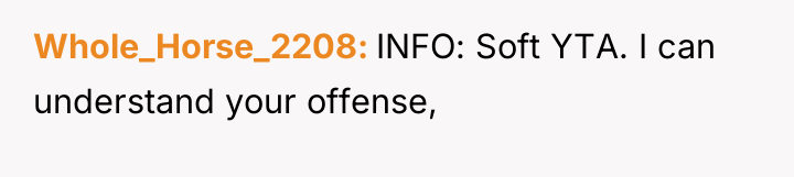 Whole_Horse_2208 INFO: Soft YTA. I can understand your offense,