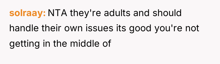 solraay NTA they're adults and should handle their own issues...
