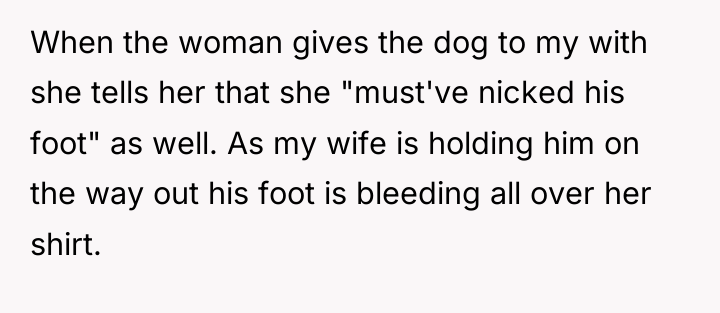 When the woman gives the dog to my with she...