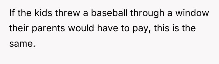 If the kids threw a baseball through a window their...
