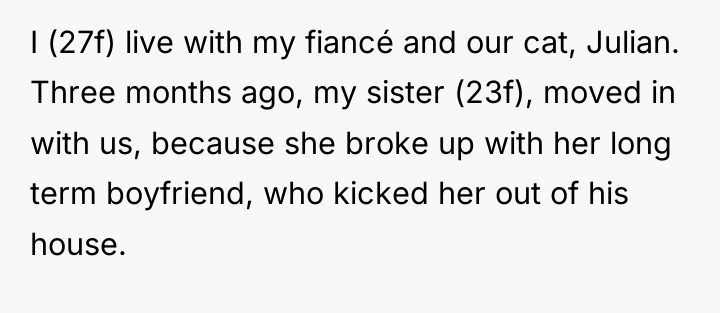 I (27f) live with my fiancé and our cat, Julian....