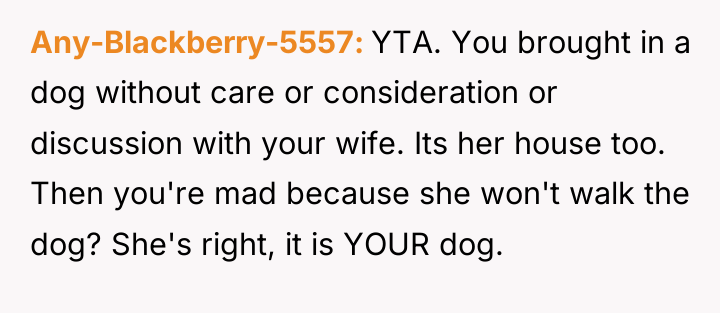 Any-Blackberry-5557 YTA. You brought in a dog without care or...