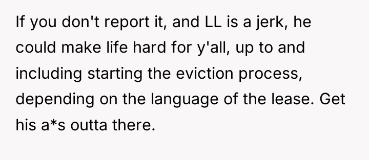 If you don't report it, and LL is a jerk,...