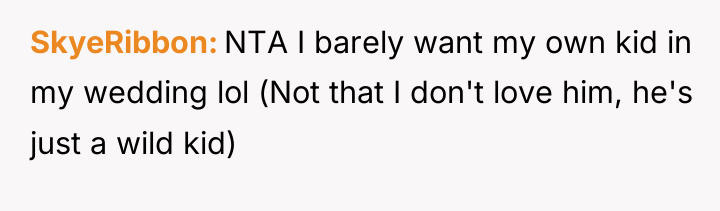 SkyeRibbon NTA I barely want my own kid in my...