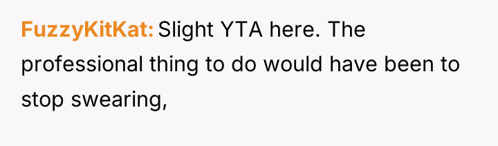 FuzzyKitKat Slight YTA here. The professional thing to do would...