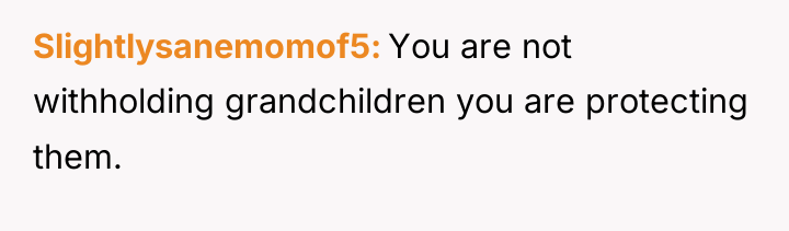 Slightlysanemomof5 You are not withholding grandchildren you are protecting them.