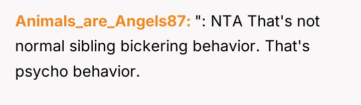 Animals_are_Angels87 ": NTA That's not normal sibling bickering behavior. That's...