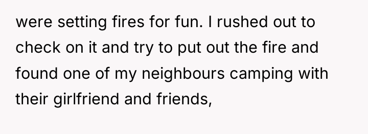 were setting fires for fun. I rushed out to check...