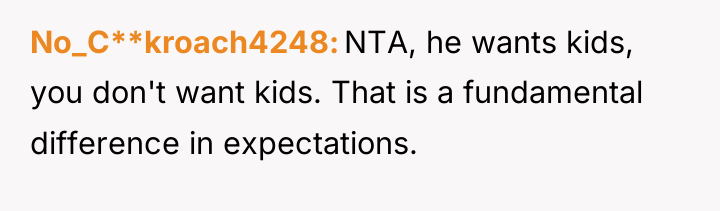 No_C**kroach4248 NTA, he wants kids, you don't want kids. That...