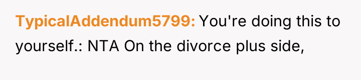TypicalAddendum5799 You're doing this to yourself.: NTA On the divorce...
