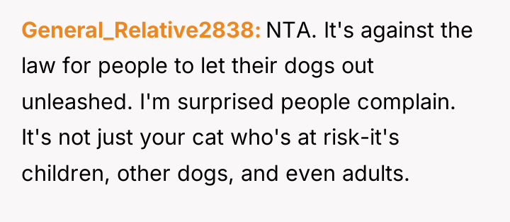 General_Relative2838 NTA. It's against the law for people to let...
