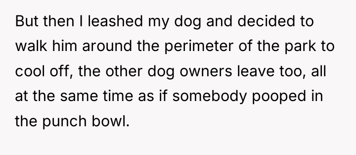 But then I leashed my dog and decided to walk...