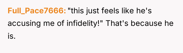 Full_Pace7666 "this just feels like he's accusing me of infidelity!"...