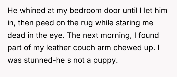 He whined at my bedroom door until I let him...