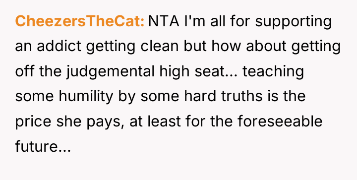CheezersTheCat NTA I'm all for supporting an addict getting clean...