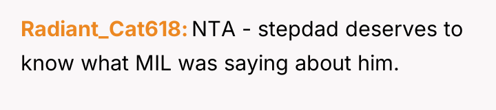Radiant_Cat618 NTA - stepdad deserves to know what MIL was...