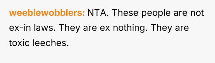 weeblewobblers NTA. These people are not ex-in laws. They are...