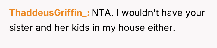 ThaddeusGriffin_ NTA. I wouldn't have your sister and her kids...
