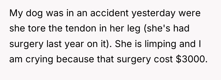 My dog was in an accident yesterday were she tore...
