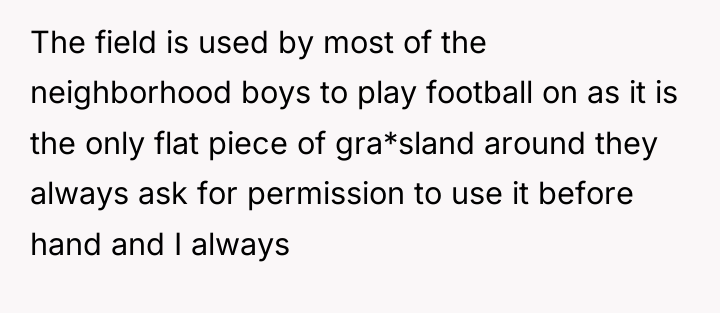 The field is used by most of the neighborhood boys...