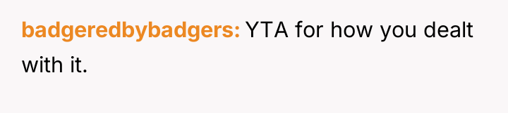 badgeredbybadgers YTA for how you dealt with it.