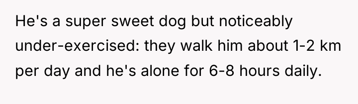 He's a super sweet dog but noticeably under-exercised: they walk...
