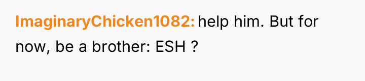 ImaginaryChicken1082 help him. But for now, be a brother: ESH...